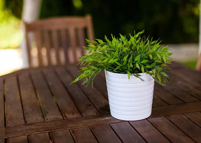 カントリーハウス La Buganvilla - Solo Familias