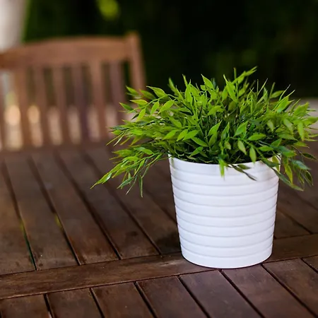 Casa rural La Buganvilla - Sólo Familias